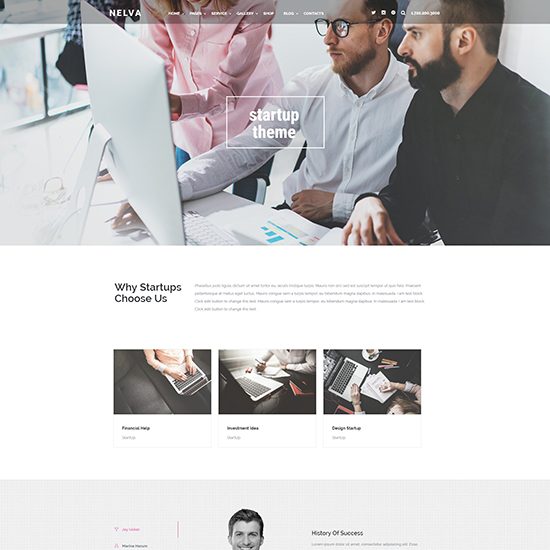 StartUp Theme